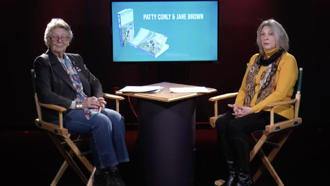 screenshot of program