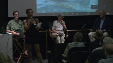 screenshot of program