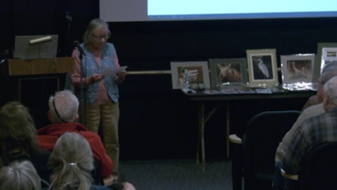 screenshot of program