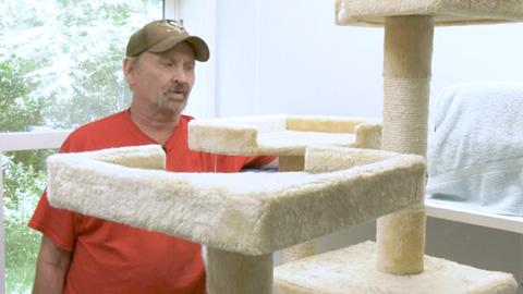 screenshot of program