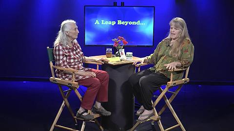 screenshot of program