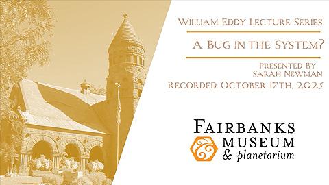 screenshot of program