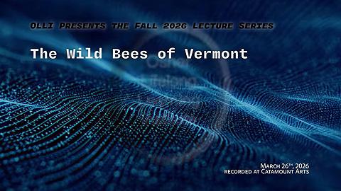 screenshot of program